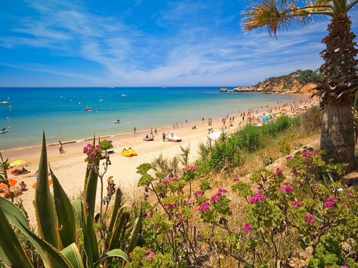 V4, Villa Jardins Branqueira2 Near Beach, Albufeira Buitenkant foto